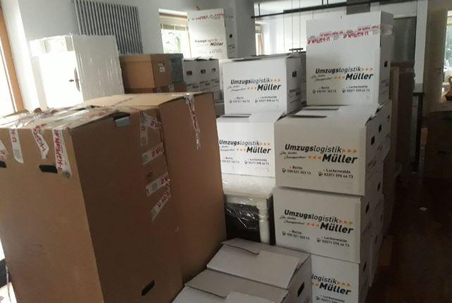 Labor Umzug preise erfahren in Döbeln