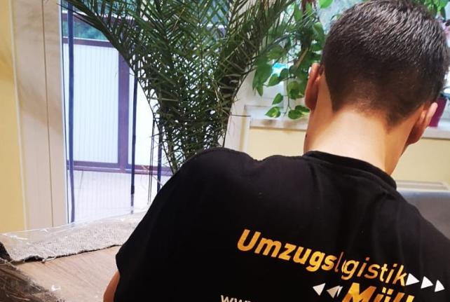 Preise für Ihren Studentenumzug in Döbeln